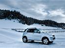 GOMME DA NEVE ROCKSTONE ICE-PLUS S110